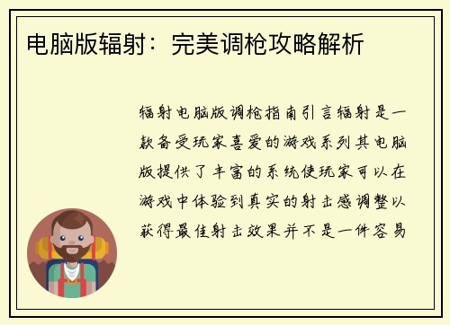 电脑版辐射：完美调枪攻略解析