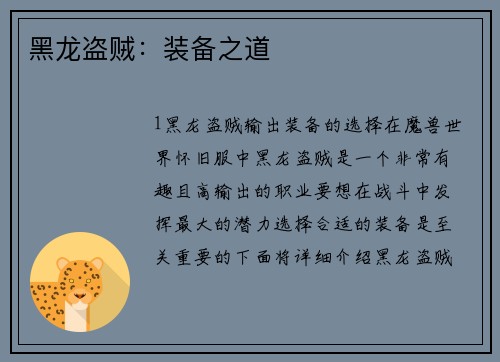 黑龙盗贼：装备之道